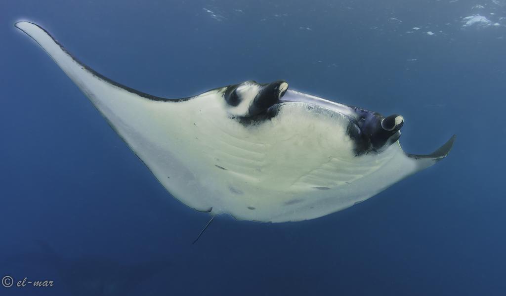 Kubu Indah Dive&spa Ferienpark 4*